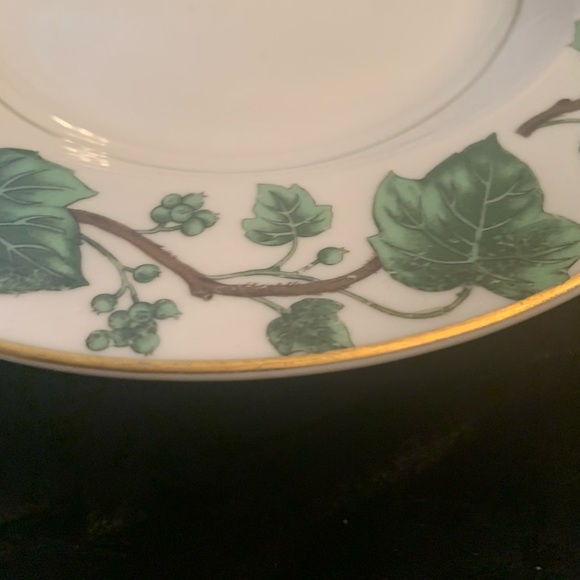 Royal Jackson Fine China Emerald Ivy Pattern - Picture 3 of 6